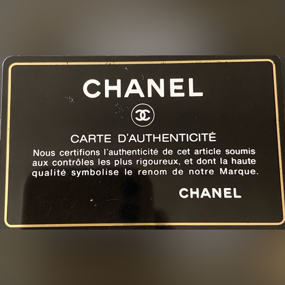 CHANEL Python-Trimmed Medium Coco Handle Bag - Picture 9 of 10